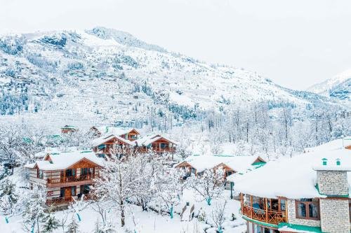 Best Times to Visit Manali