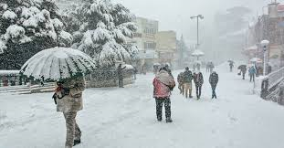 Best Times to Visit Shimla